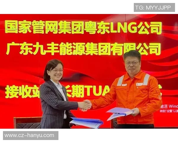 LNG战队运营策略分析与成败经验总结探讨实时新闻