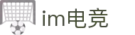 IM(股份有限公司)电竞-电子竞技平台